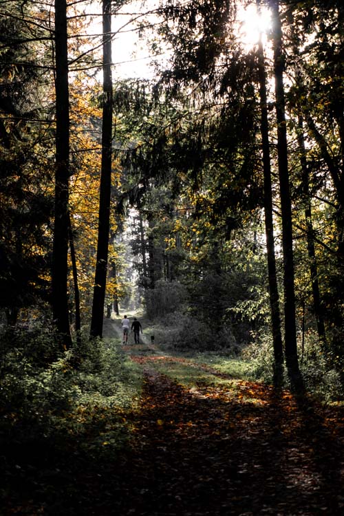 Verbundene Wege